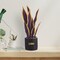 LSU Snake Plant, LSU Faux Snake Plant, LSU Gifts for Men, LSU Gifts for Women, LSU Gifts, Louisiana University Decorations, Office Accessories for Men, Desk Sets and Accessories for Women